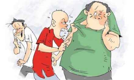 Hidung Parak Pipi